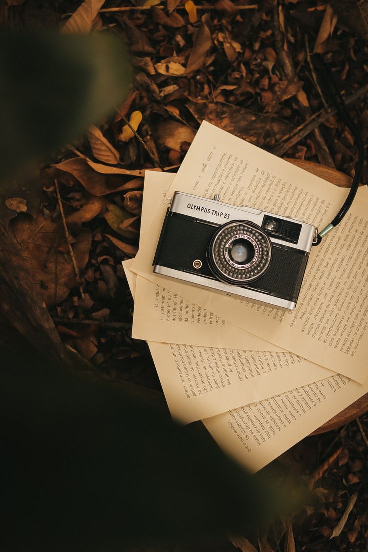 Colagem em tons verdes representando novos começos